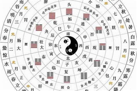 十天干十二地支|天干地支五行对照表